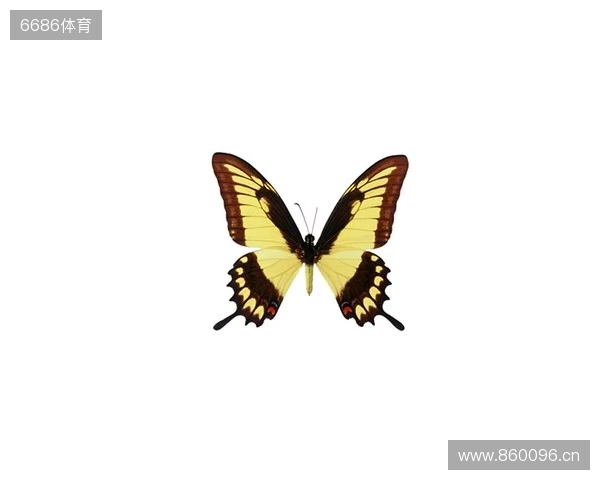 破茧成蝶：Legacy如何登顶南美、跻身世界顶尖行列